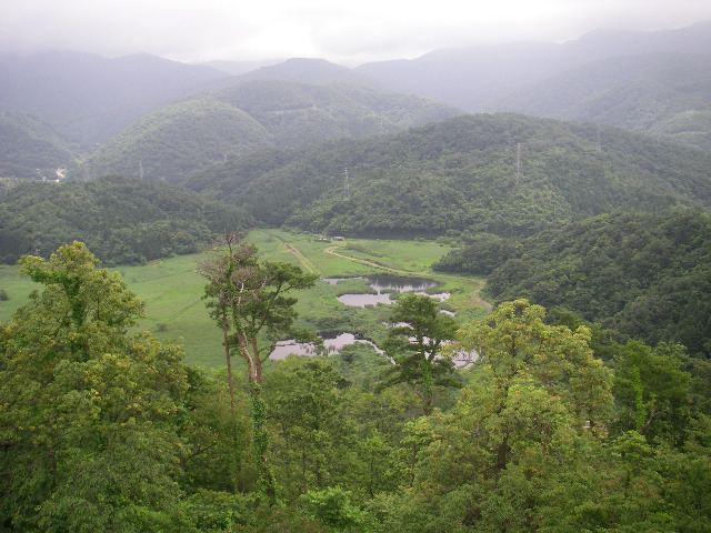 春の中池見湿地　【天筒山】