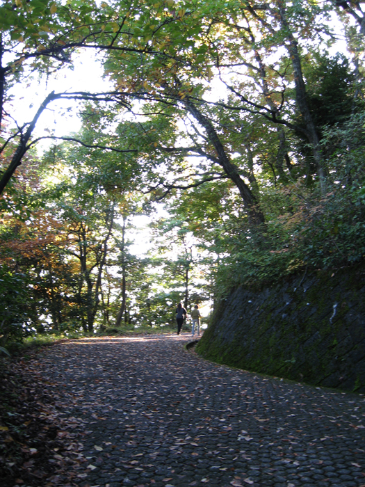 遊歩道　【天筒山】