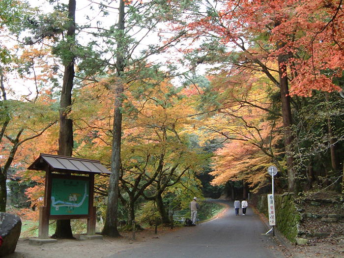 1.風景林・標識等【仏通寺】