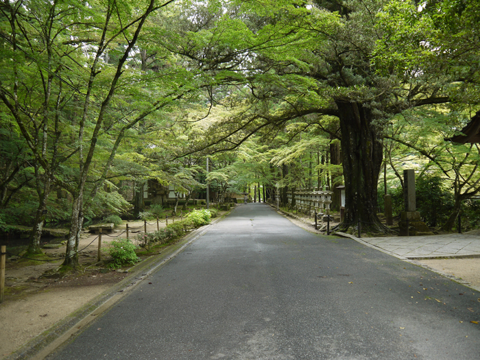 11.仏通寺沿道【仏通寺】