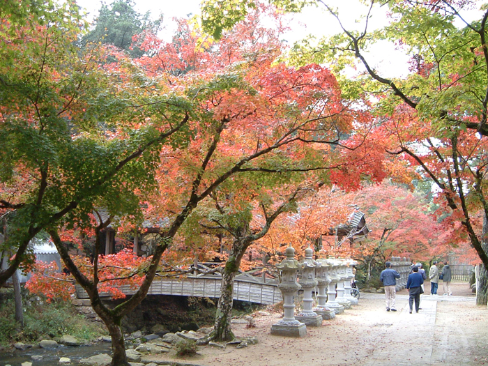 2.風景林みどころ風景【仏通寺】