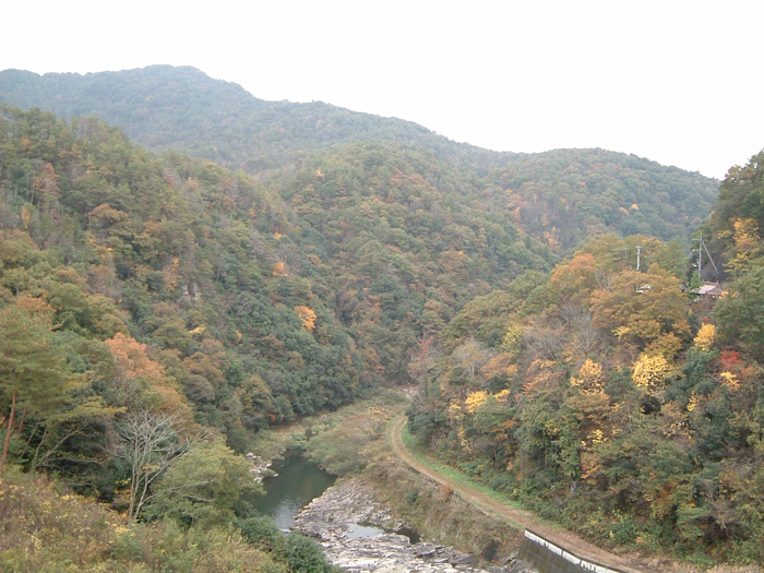 4.竹林寺用倉山風景林【竹林寺用倉山】
