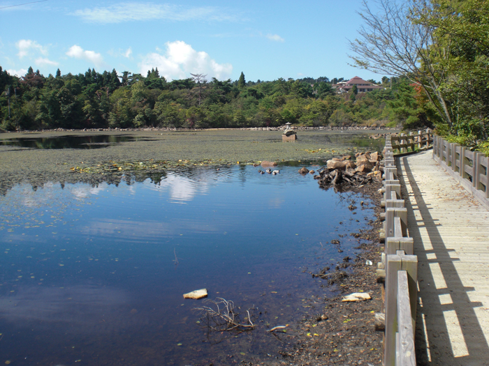 氷池 10月