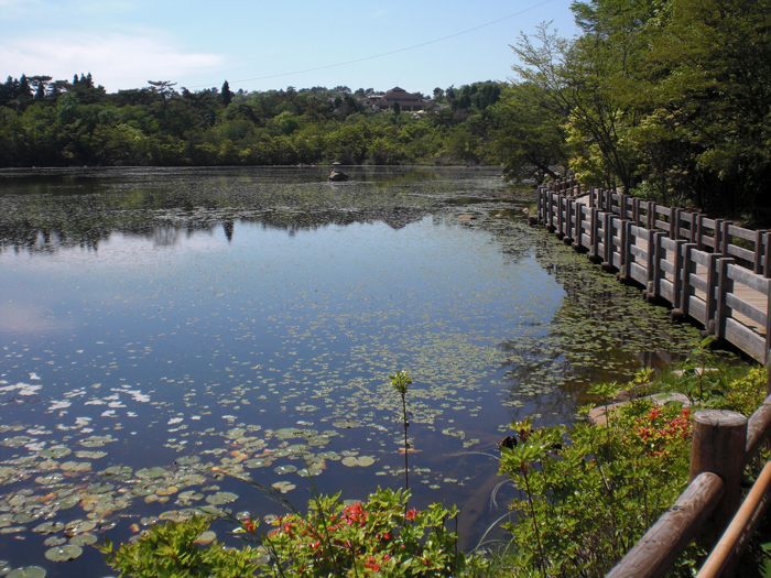 氷池 5月