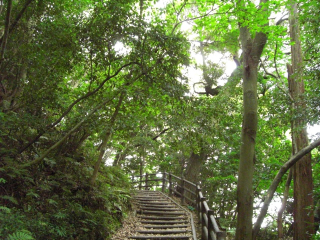 遊歩道