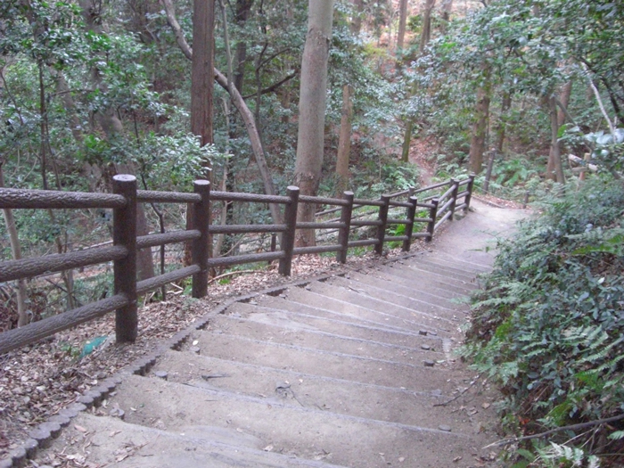 遊歩道③