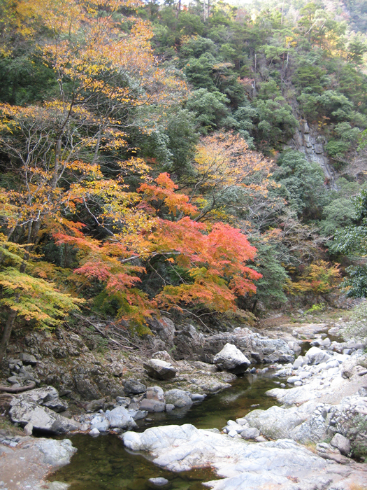 山野峡風景