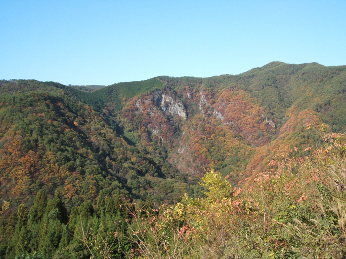 藤掛山