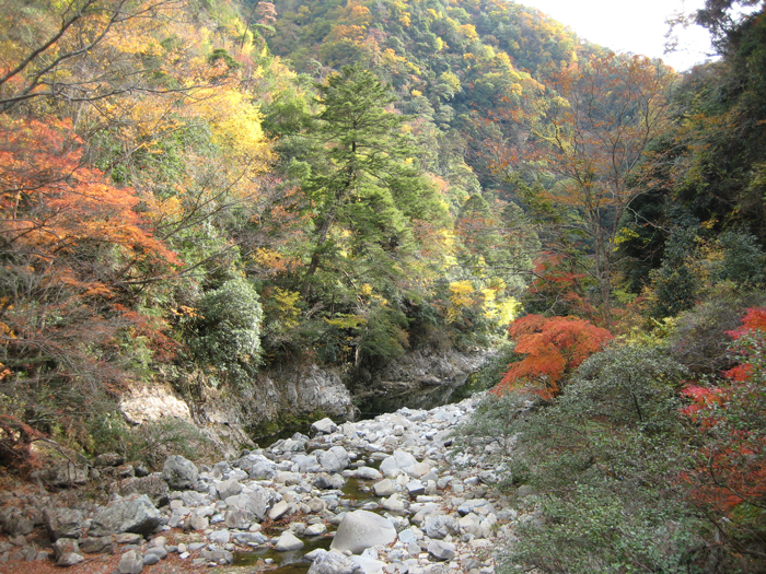 渓谷