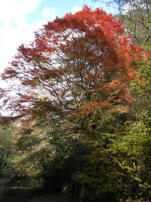 久賀山