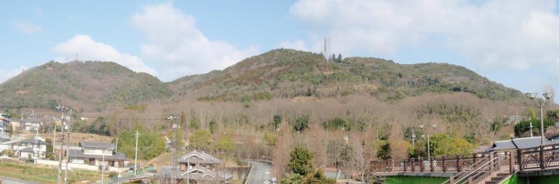 五峰山風景林全景