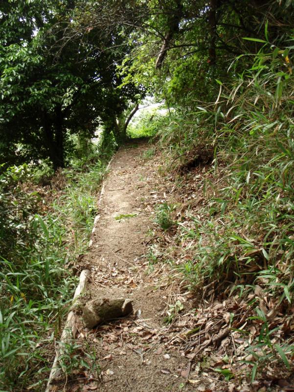 6.遊歩道【神戸林山】
