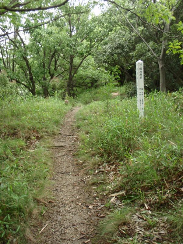 7.遊歩道【神戸林山】