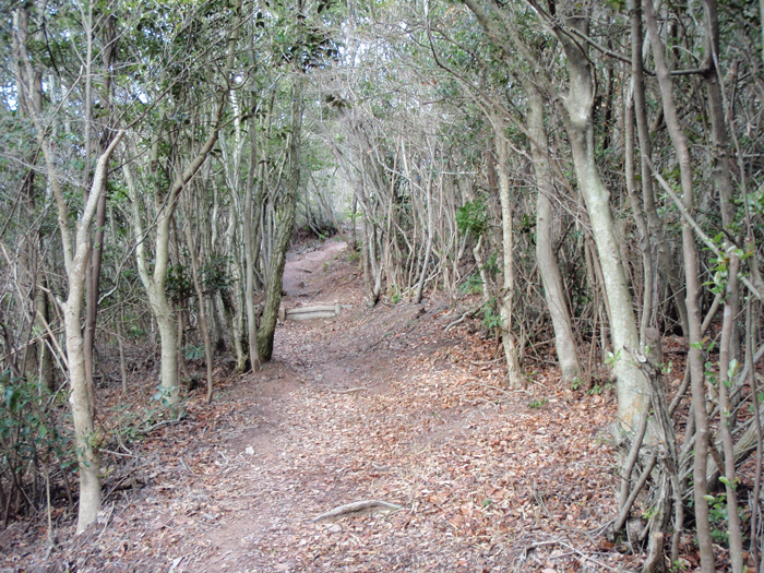 遊歩道