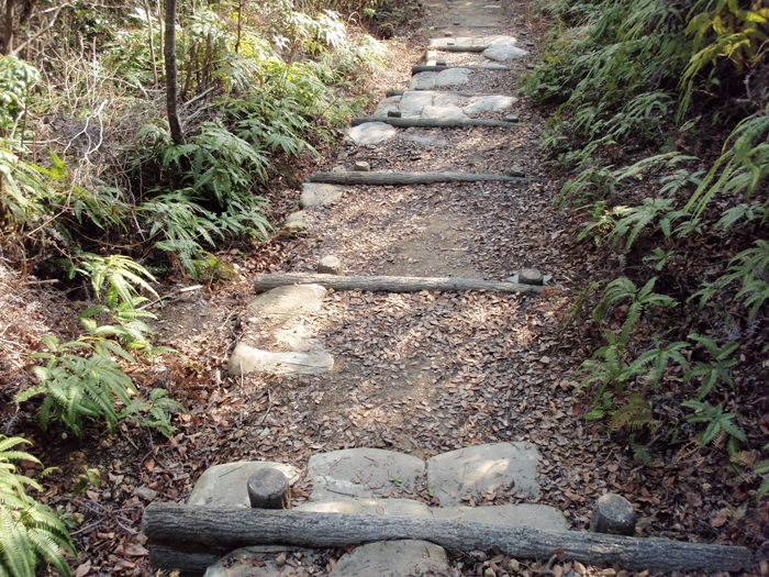 遊歩道③