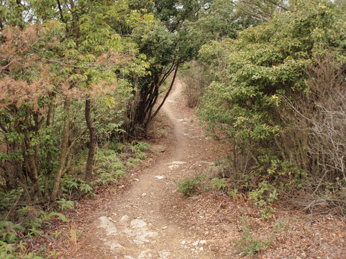 登山道