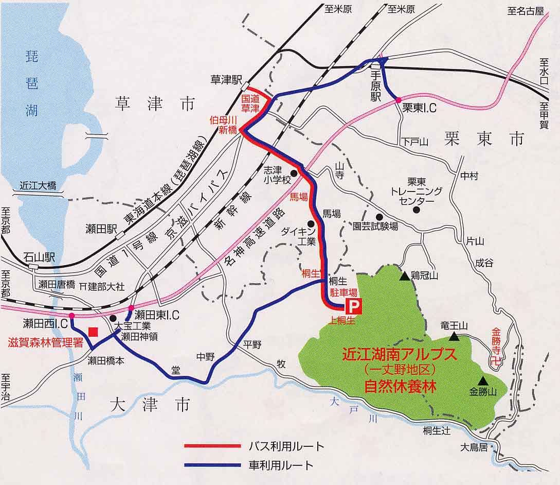 交通案内図