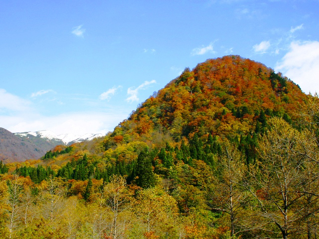 六万山風景林