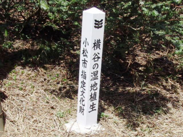 横谷の湿地植生標識