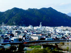 権現山国有林
