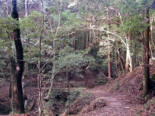 地獄谷国有林内の遊歩道　【春日山】