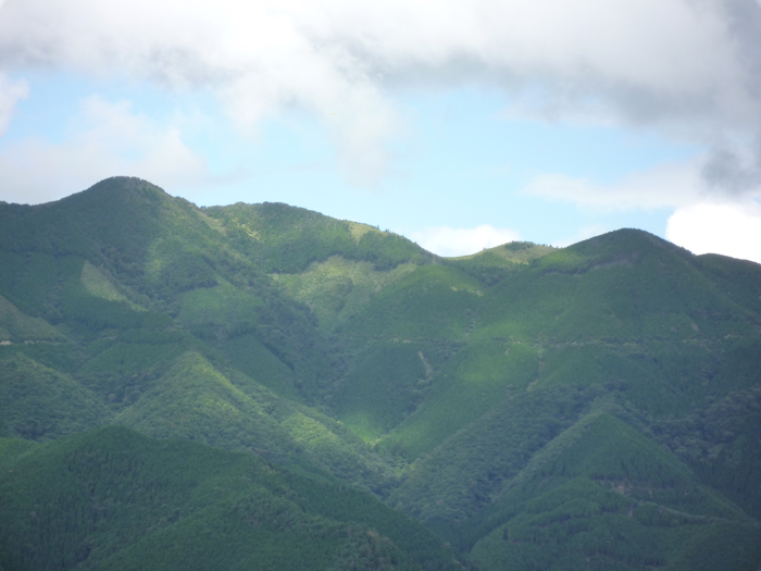 全景