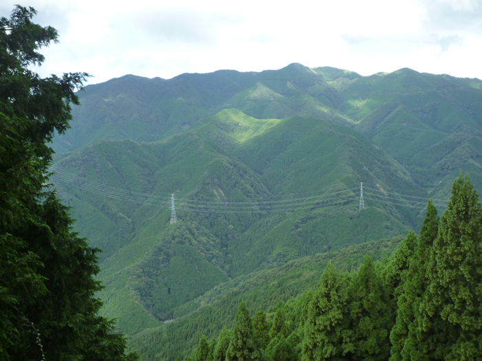 全景②