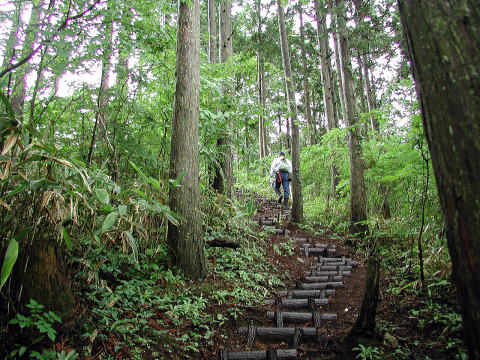 登山道