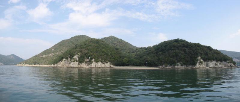 全景