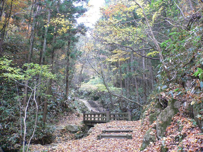 近景　【黒木】