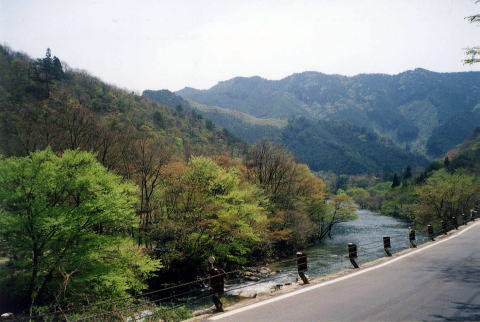 全景　【黒木】