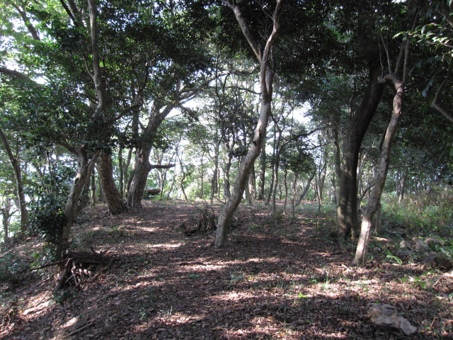 山頂