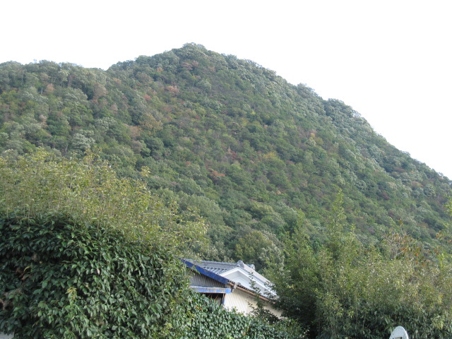 全景