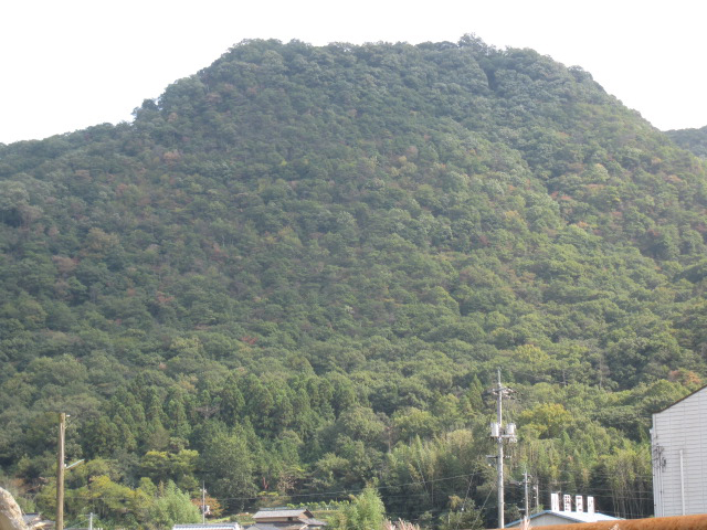 全景