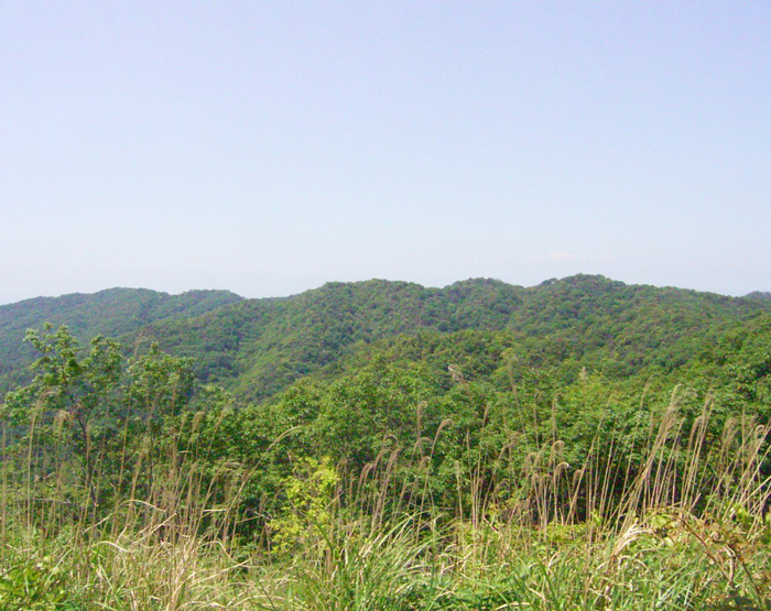 紀泉高原