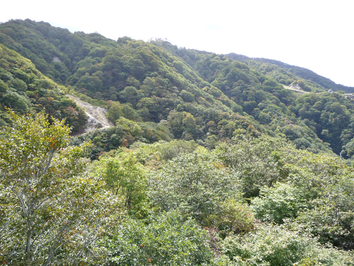 奥伊吹稜線からの山容　（射能山方面）