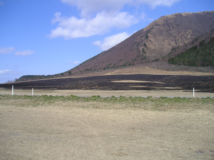 三瓶山、野焼き後　【三瓶山】