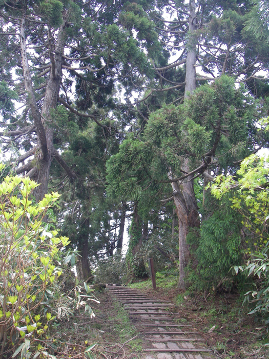 レク森近景