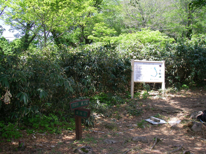 氷ノ山案内