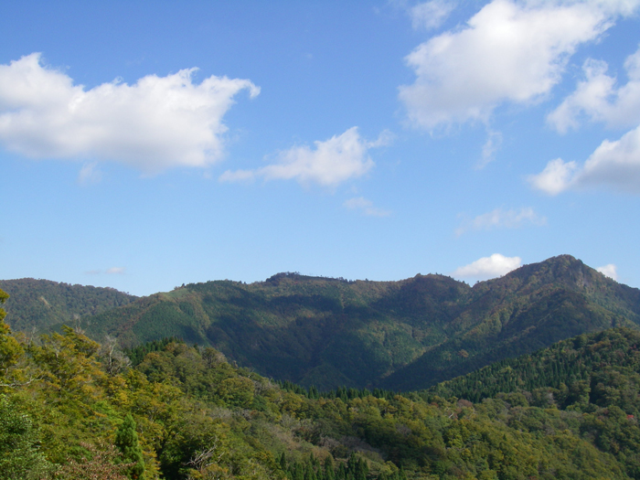 レク森全景