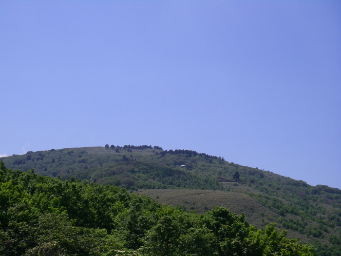 レク森全景