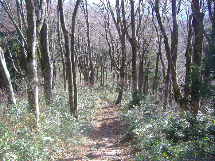 遊歩道③　【鷲峰山】