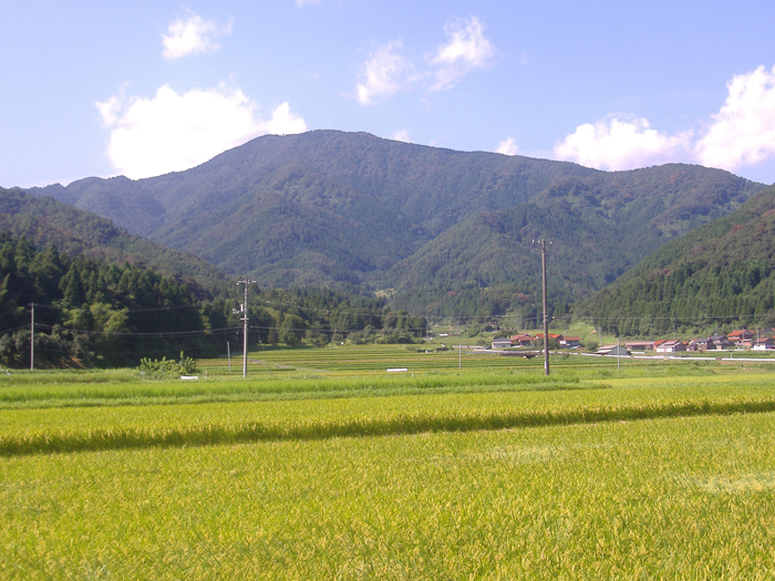 遠景①　【鷲峰山】