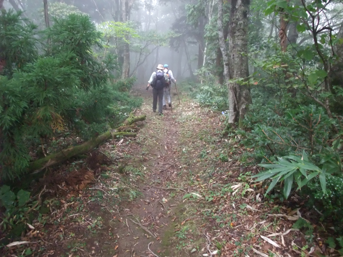 登山　【鷲峰山】