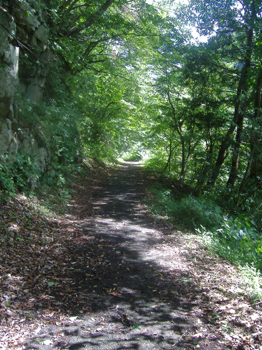 遊歩道　【三滝峡】