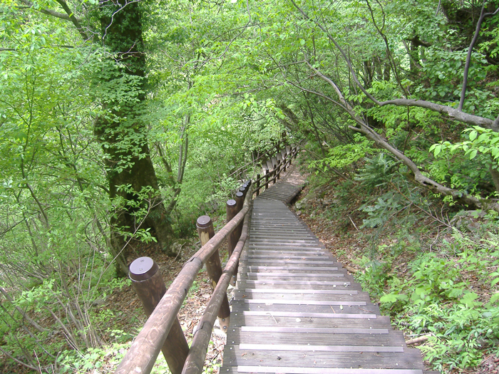 遊歩道_階段　【三滝峡】