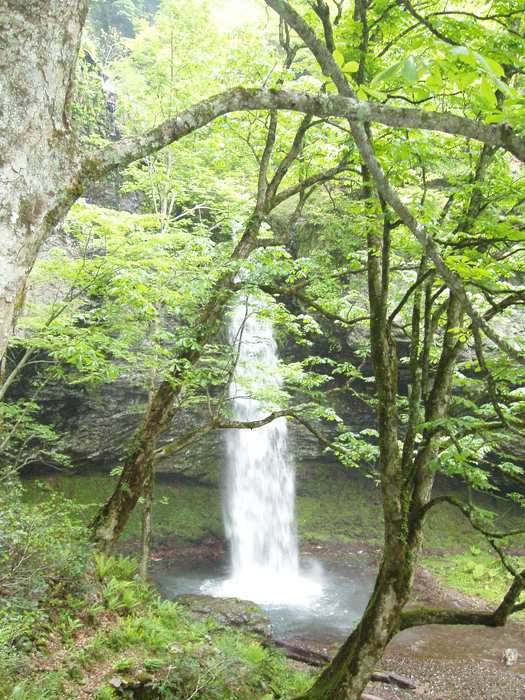 沢川大鹿滝