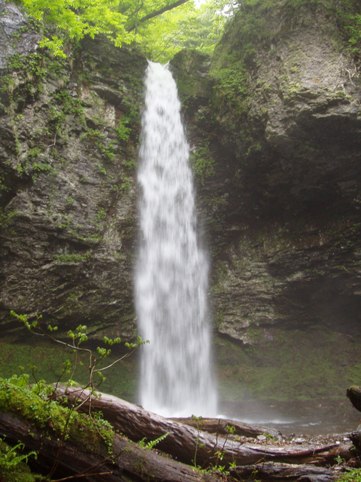 沢川大鹿滝