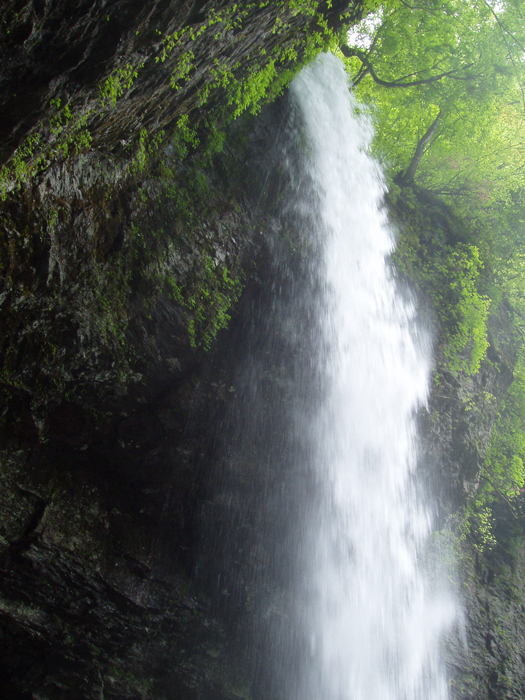 沢川大鹿滝