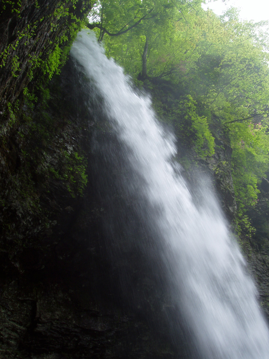 沢川大鹿滝